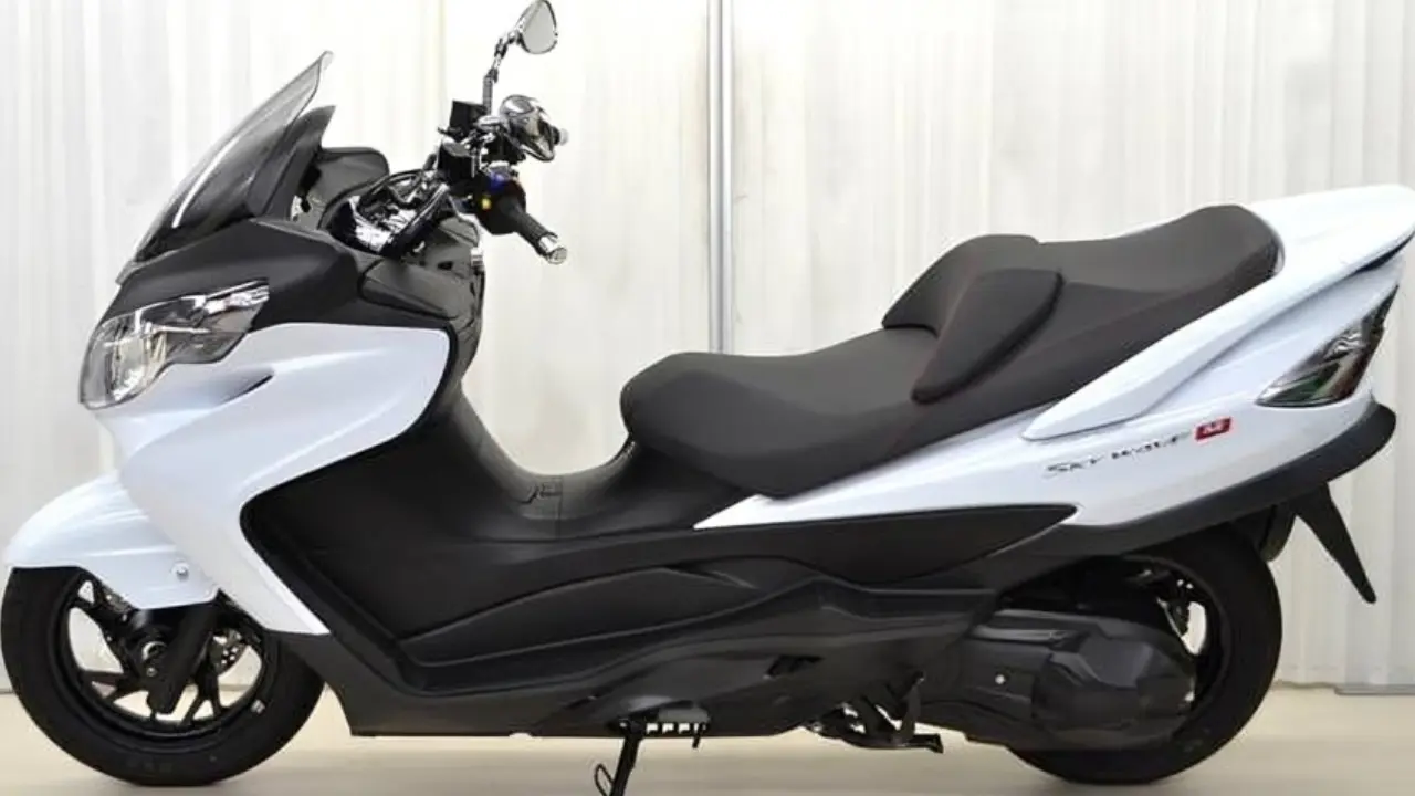 Suzuki Skywave 250 (2)