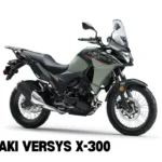 Kawasaki Versys X-300