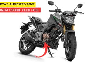 Honda CB300F Flex Fuel