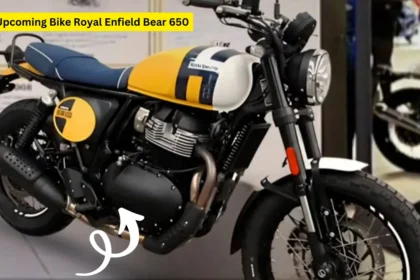 Royal Enfield Bear 650