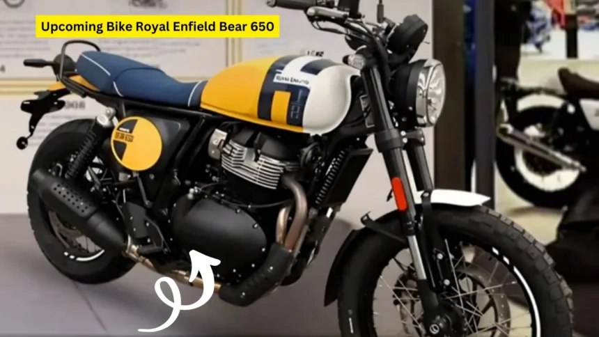 Royal Enfield Bear 650