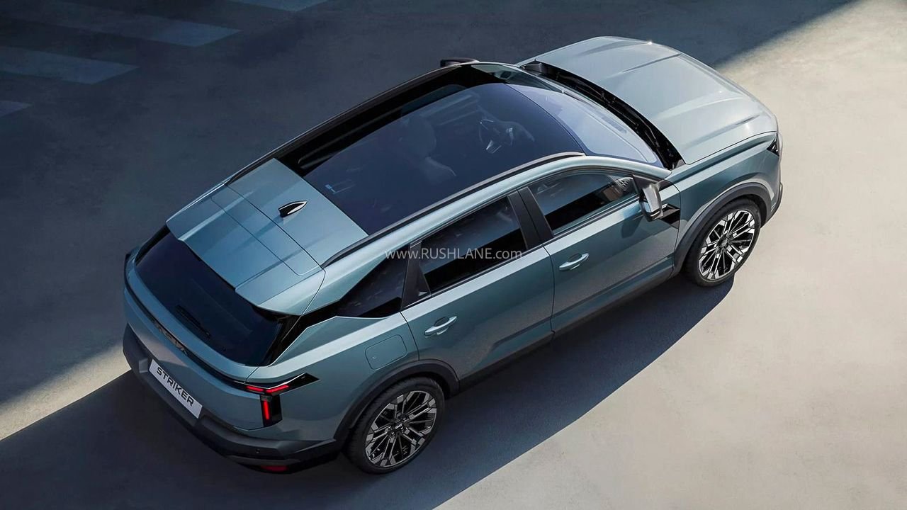 renault dacia striker