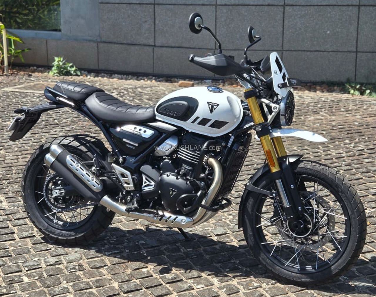 New Triumph 350cc - Scrambler