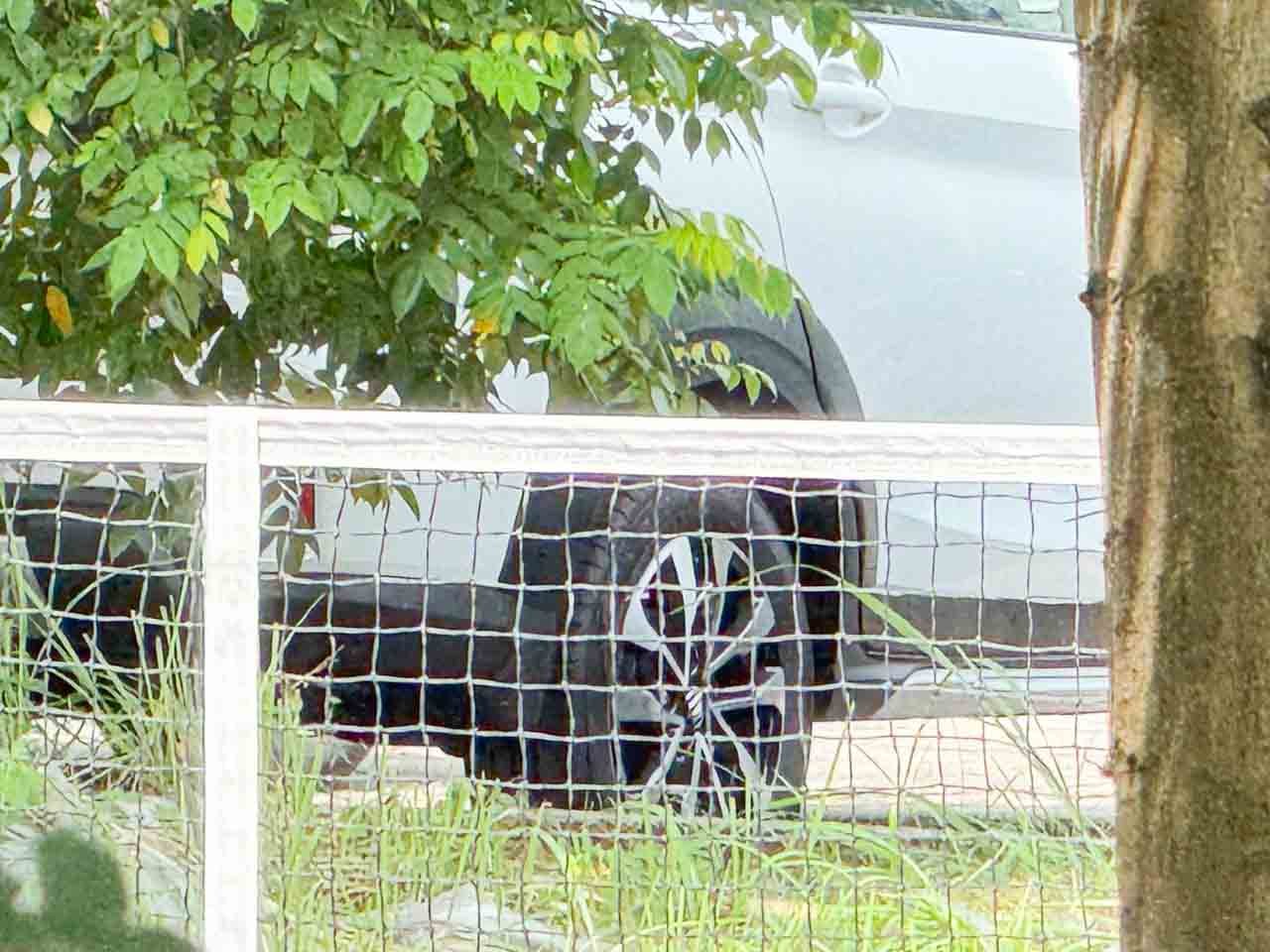 Suzuki XL7 facelift spied
